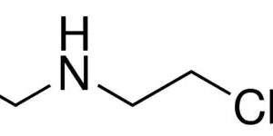 N,N-Bis(2-Chloroethyl)amine Hydrochloride [CAS No. 821-48-7]