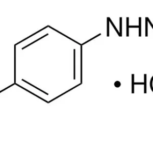 4 Chloro Phenyl Hydrazine Hydrochloride [CAS No. 1073-70-7]