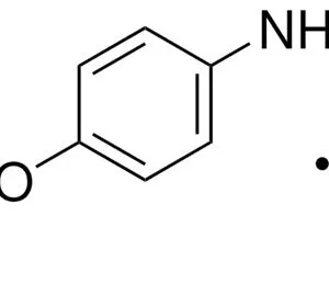 4 -Methoxy Phenyl Hydrazine Hydrochloride [CAS No. 19501-58-7]